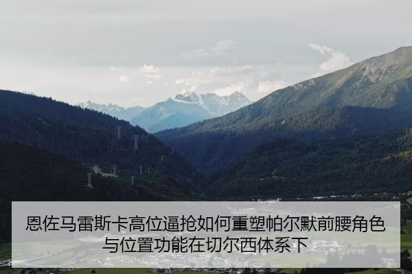 恩佐马雷斯卡高位逼抢如何重塑帕尔默前腰角色与位置功能在切尔西体系下