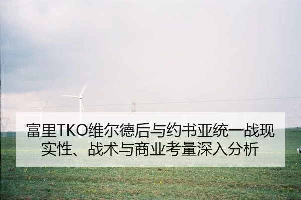 富里TKO维尔德后与约书亚统一战现实性、战术与商业考量深入分析