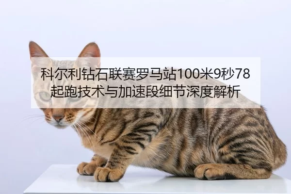 科尔利钻石联赛罗马站100米9秒78起跑技术与加速段细节深度解析