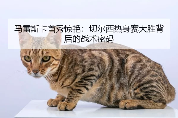 马雷斯卡首秀惊艳：切尔西热身赛大胜背后的战术密码
